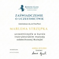Powiększ obraz: certificate 23