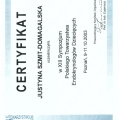 Powiększ obraz: certificate 31