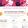 Powiększ obraz: certificate 20