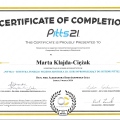Powiększ obraz: certificate 1
