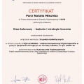 Powiększ obraz: certificate 19