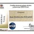 Powiększ obraz: certificate 4