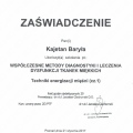 Powiększ obraz: certificate 8