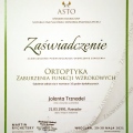 Powiększ obraz: certificate 13
