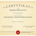 Powiększ obraz: certificate 9