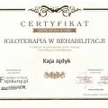 Powiększ obraz: certificate 2