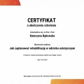 Powiększ obraz: certificate 11