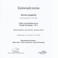 Powiększ obraz: certificate 8