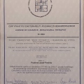 Powiększ obraz: certificate 1