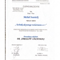 Powiększ obraz: certificate 12