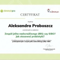 Powiększ obraz: certificate 1