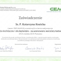 Powiększ obraz: certificate 10