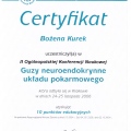 Powiększ obraz: certificate 4