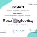 Powiększ obraz: certificate 1