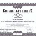 Powiększ obraz: certificate 6