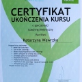 Powiększ obraz: certificate 14