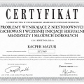 Powiększ obraz: certificate 6