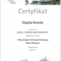 Powiększ obraz: certificate 14