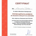 Powiększ obraz: certificate 7