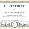 Powiększ obraz: certificate 10