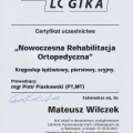 Powiększ obraz: certificate 9
