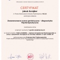 Powiększ obraz: certificate 49