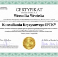 Powiększ obraz: certificate 2