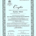Powiększ obraz: certificate 28