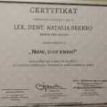 Powiększ obraz: certificate 2