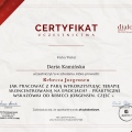 Powiększ obraz: certificate 31
