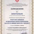 Powiększ obraz: certificate 2
