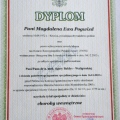 Powiększ obraz: certificate 1