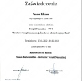 Powiększ obraz: certificate 1