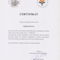 Powiększ obraz: certificate 1