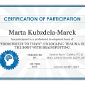 Powiększ obraz: certificate 4