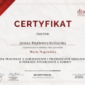 Powiększ obraz: certificate 16