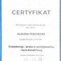 Powiększ obraz: certificate 2