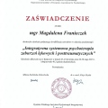Powiększ obraz: certificate 3