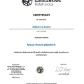 Powiększ obraz: certificate 4