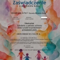 Powiększ obraz: certificate 31