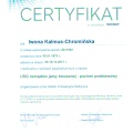 Powiększ obraz: certificate 2