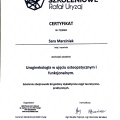 Powiększ obraz: certificate 1