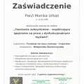 Powiększ obraz: certificate 17