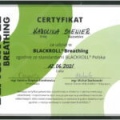 Powiększ obraz: certificate 7