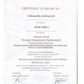 Powiększ obraz: certificate 4