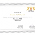 Powiększ obraz: certificate 8