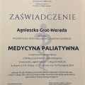 Powiększ obraz: certificate 2