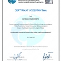Powiększ obraz: certificate 1
