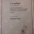 Powiększ obraz: certificate 1