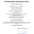 Powiększ obraz: certificate 2